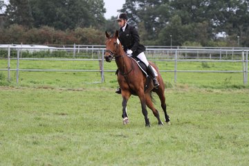 Bild 1441 - WBO-Turnier am 18.9.11